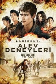 Labirent: Alev Deneyleri